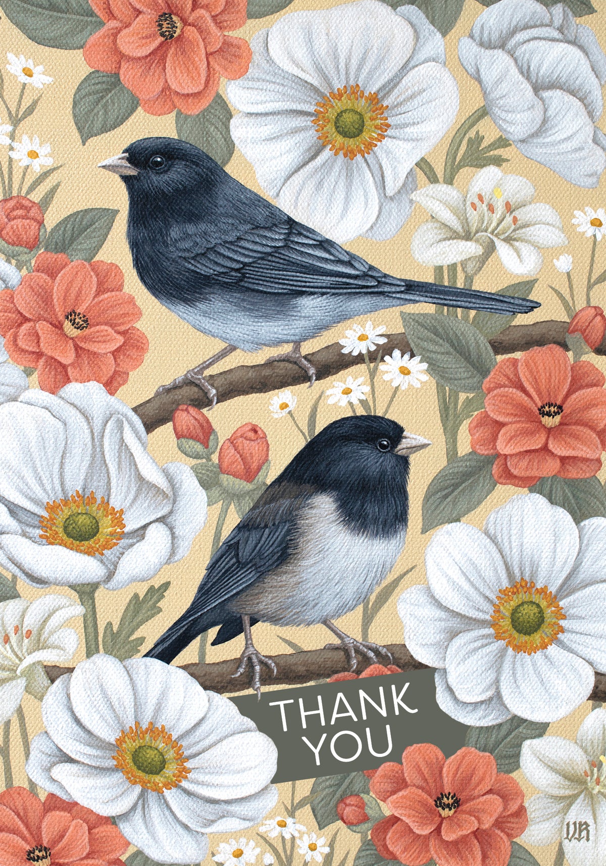 Vasilisa Romanenko: Dark-eyed Juncos Thank You Notes_Zoom