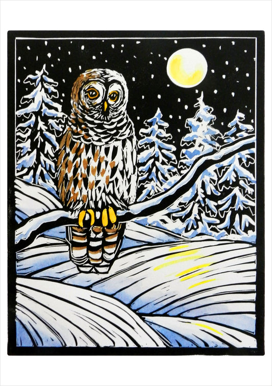 Molly Hashimoto: Winter Birds Holiday Card Assortment_Front_3D